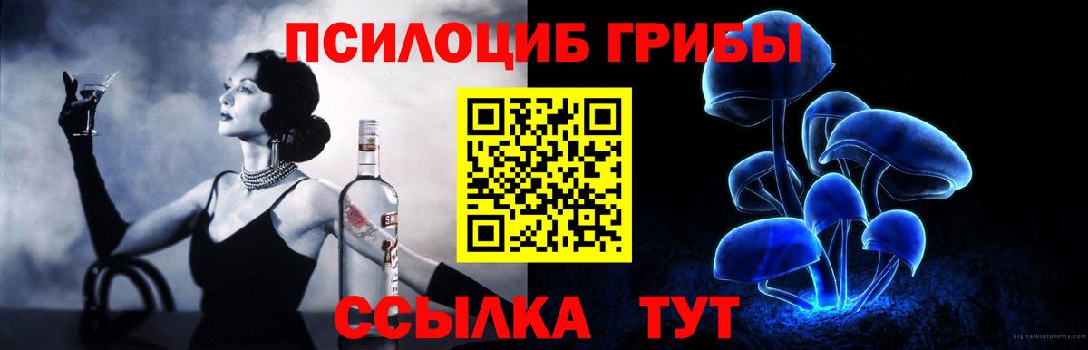 Псилоцибиновые грибы ЛСД Егорьевск