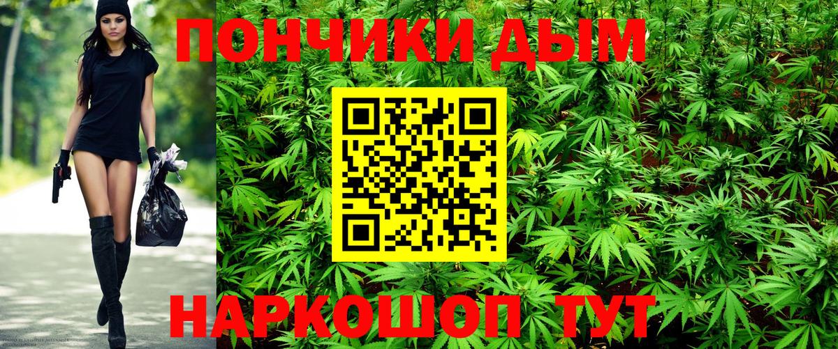 Шишки марихуана ГИДРОПОН  Вход с VPN  Егорьевск  Марихуана сатива 